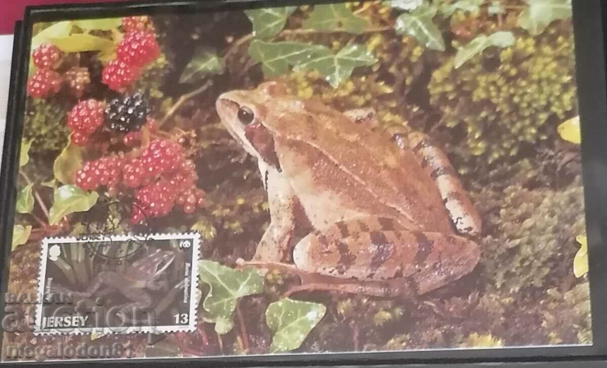 Delivery of Jusei (Great Britain) - WWF Fauna Delivery of Jusei (Great Britain) - WWF Fauna