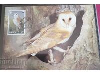 Jusei (Great Britain) - WWF Fauna