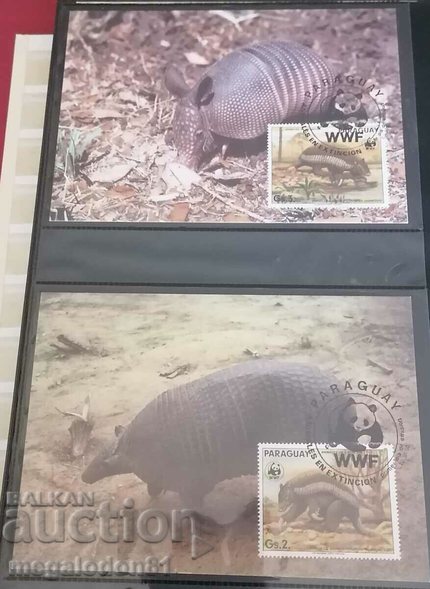 Paraguay - fauna WWF, furnicar gigant și armadillo