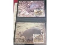 Paraguay - WWF fauna, giant anteater and armadillo