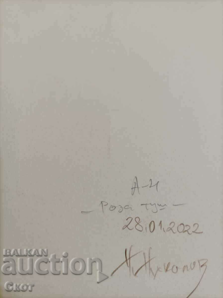 Desen cu cerneală cu preț 24.00 BGN | € 12.27 Desen cu cerneală cu preț 24.00 BGN | € 12.27