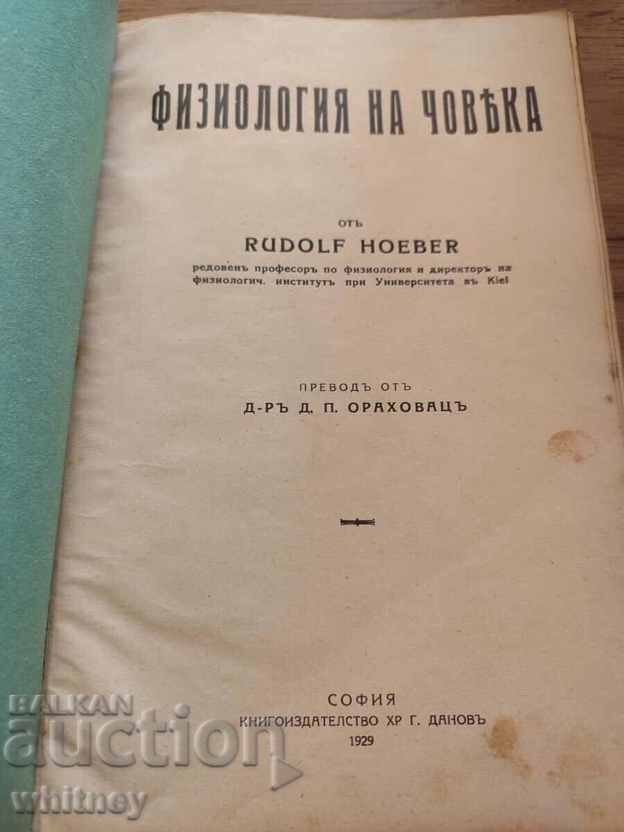 Ανθρώπινη Φυσιολογία Rudolf Hoeber 1929