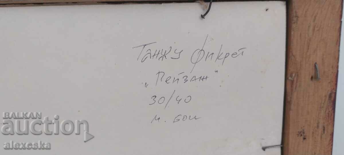 Picture - "Landscape" / Tanju Fikret - 6 Picture - "Landscape" / Tanju Fikret - 6