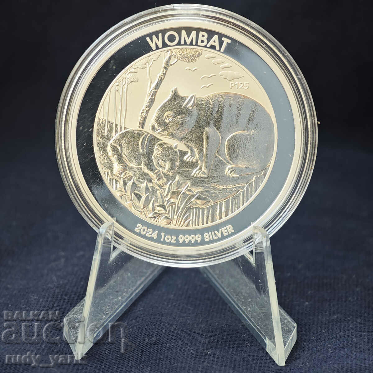 Australian wombat 2024 1 OZ Silver