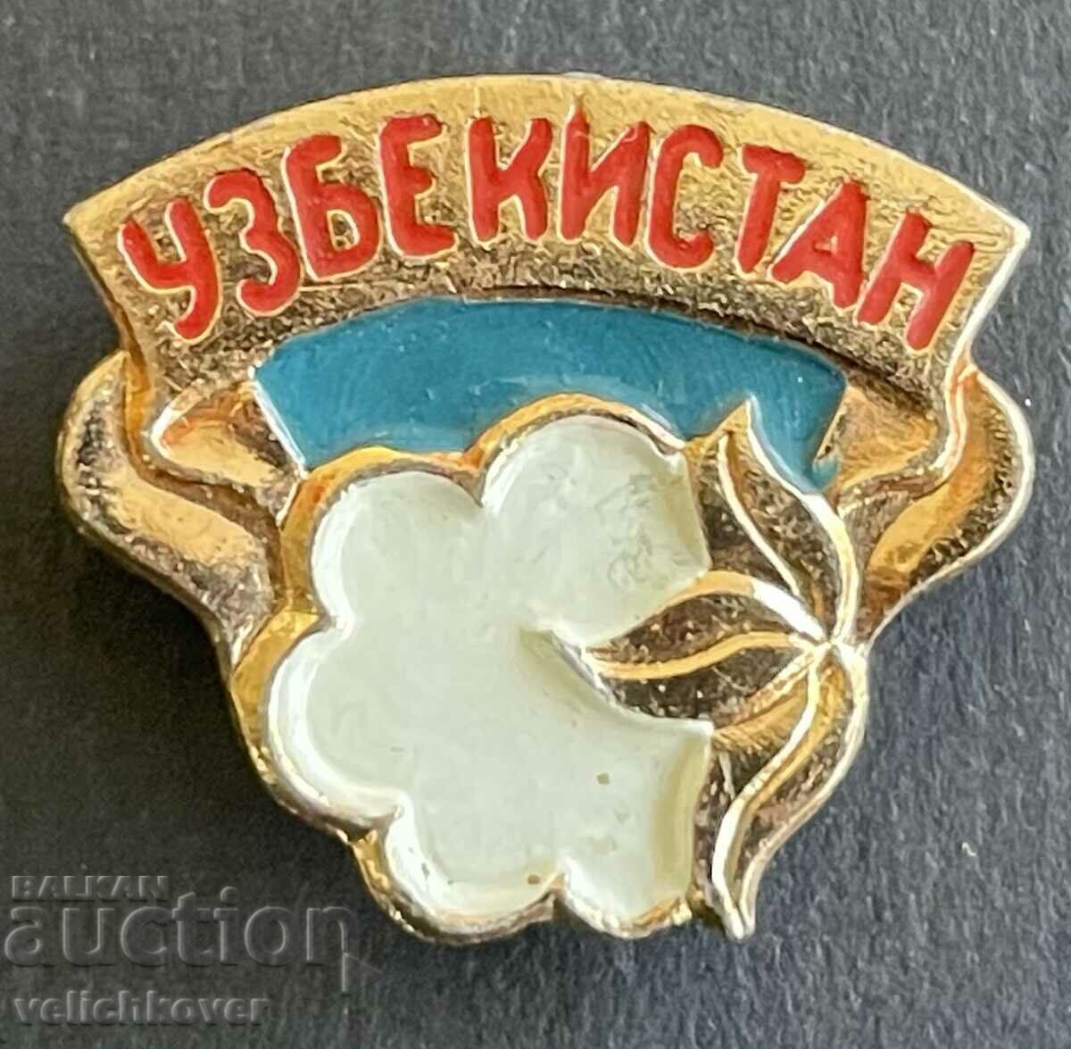 39019 СССР знак Узбекистан Узбекистанска СССР 70-те г.