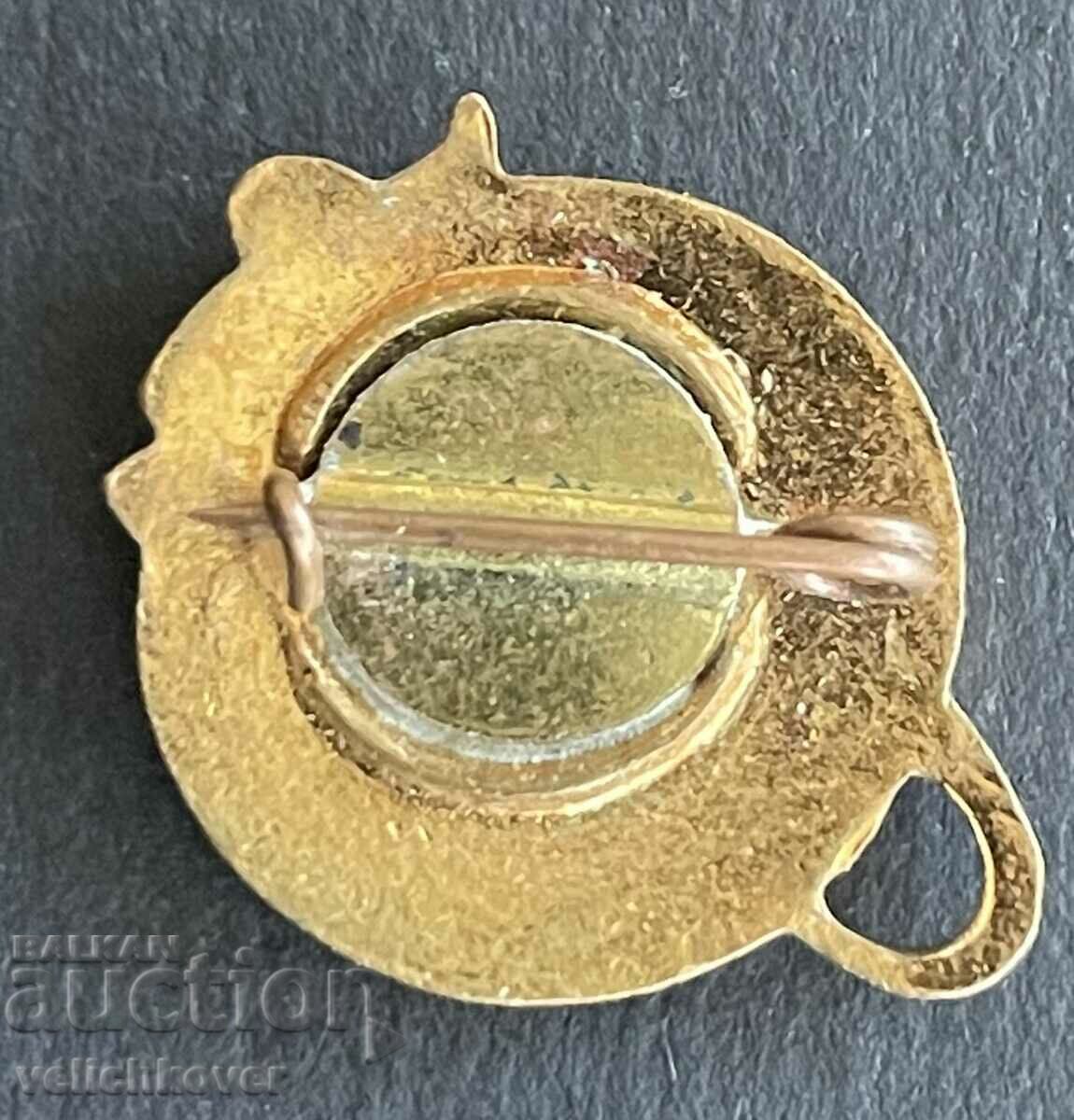 39027 USSR space sign first artificial satellite Sputnik with price 10.00 BGN | € 5.11