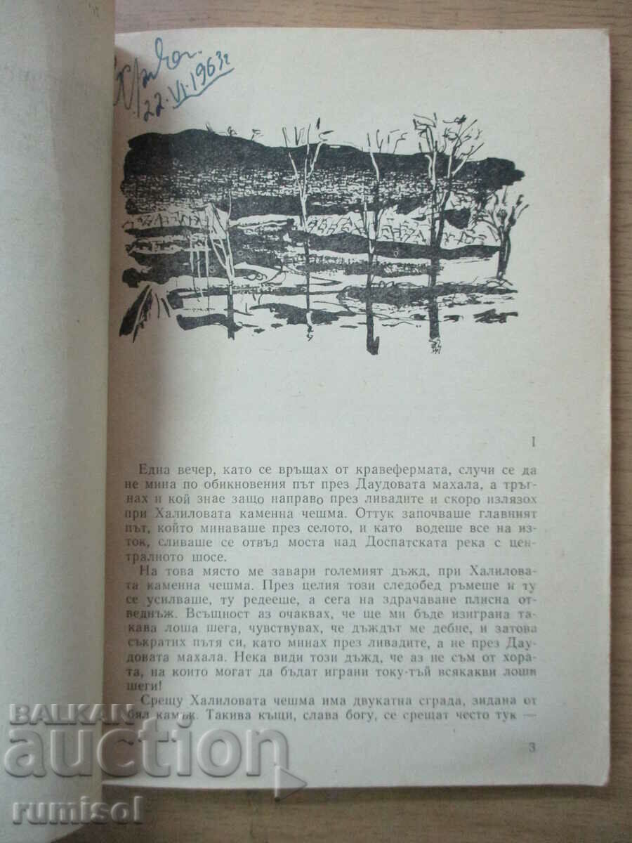 Auction The Sleeping Beauty - Andrey Gulyashki Auction The Sleeping Beauty - Andrey Gulyashki