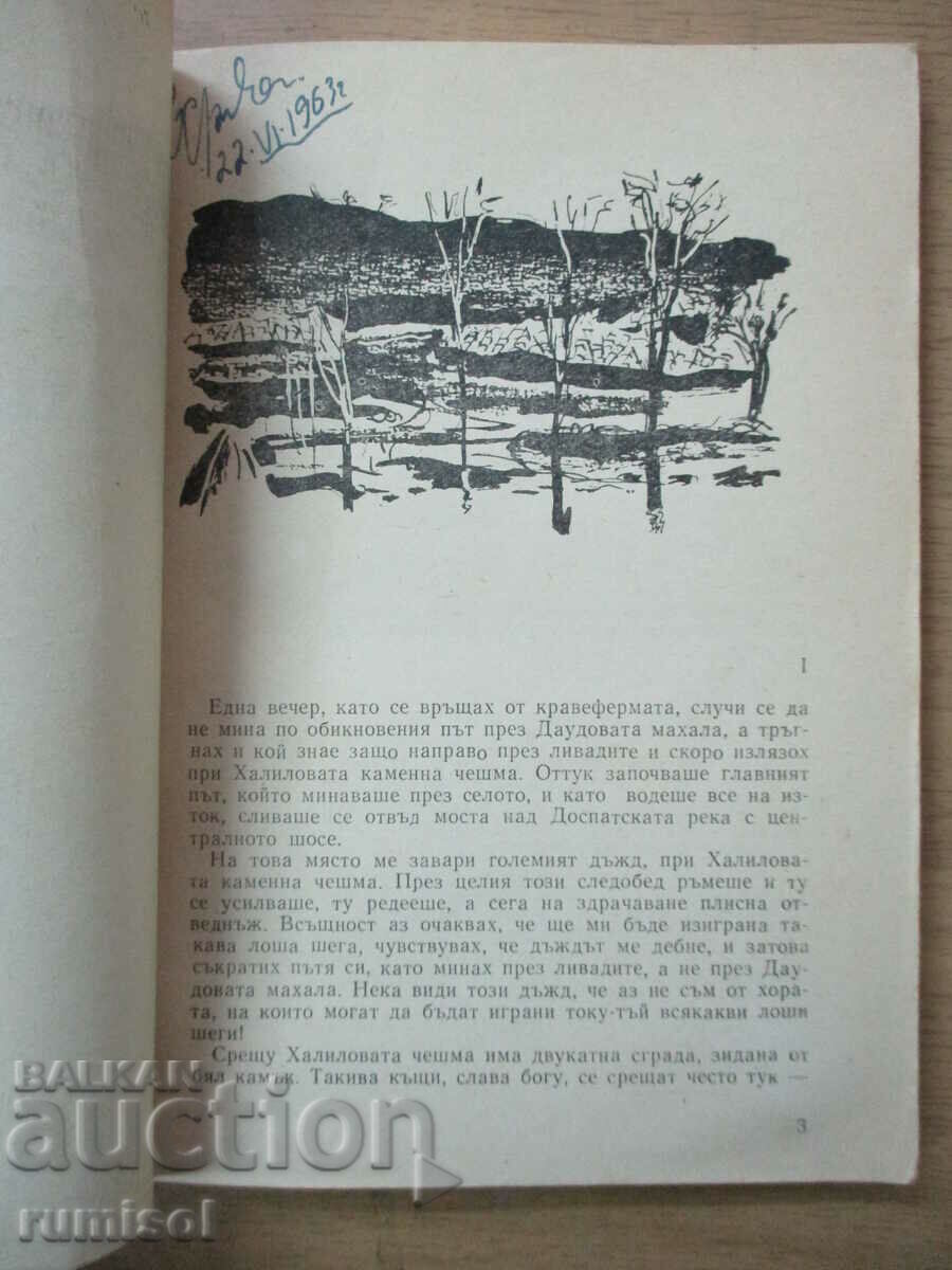 Auction  The Sleeping Beauty - Andrey Gulyashki