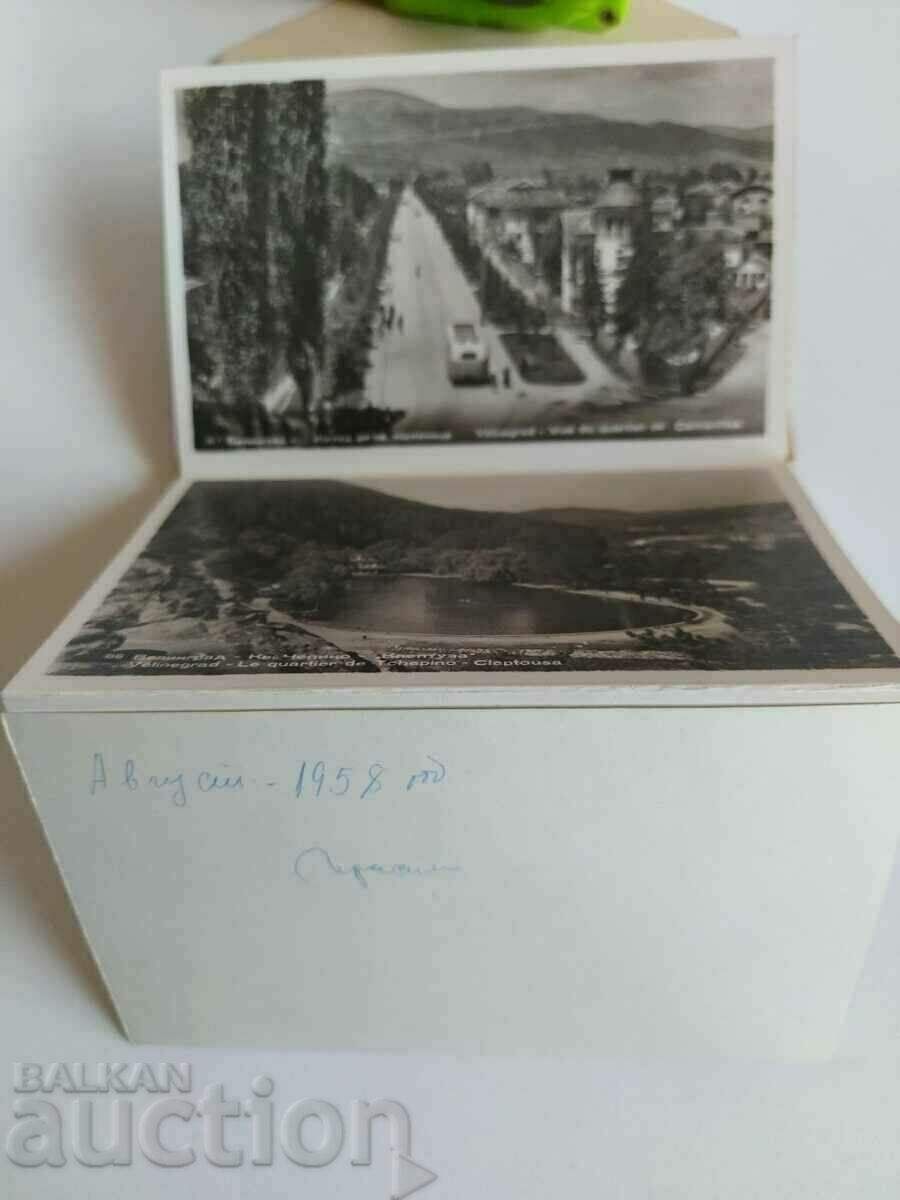 Licitație , VELINGRAD VIEW CARD CARD SOCIALĂ