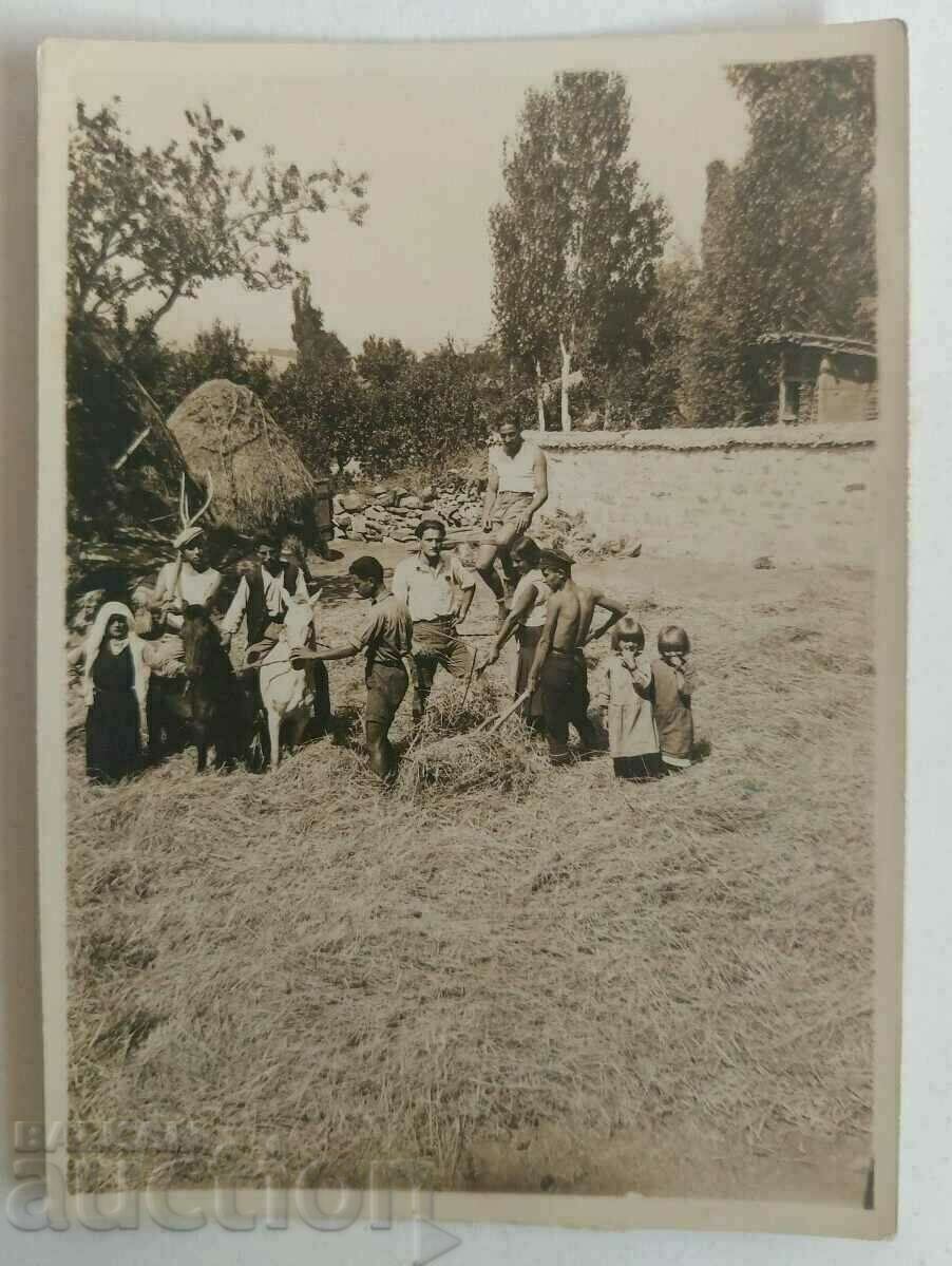 , СЕЛСКИ БИТ ЦАРСТВО БЪЛГАРИЯ СТАРА СНИМКА ФОТОГРАФИЯ