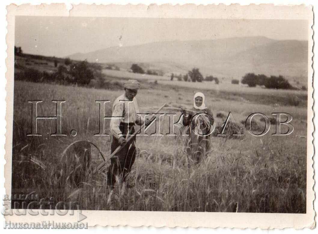 ΜΙΚΡΟ ΠΑΛΙΟ ΦΩΤΟΚΟΠΤΙΚΟ ΣΤΑ ΧΩΦΙΑ D206