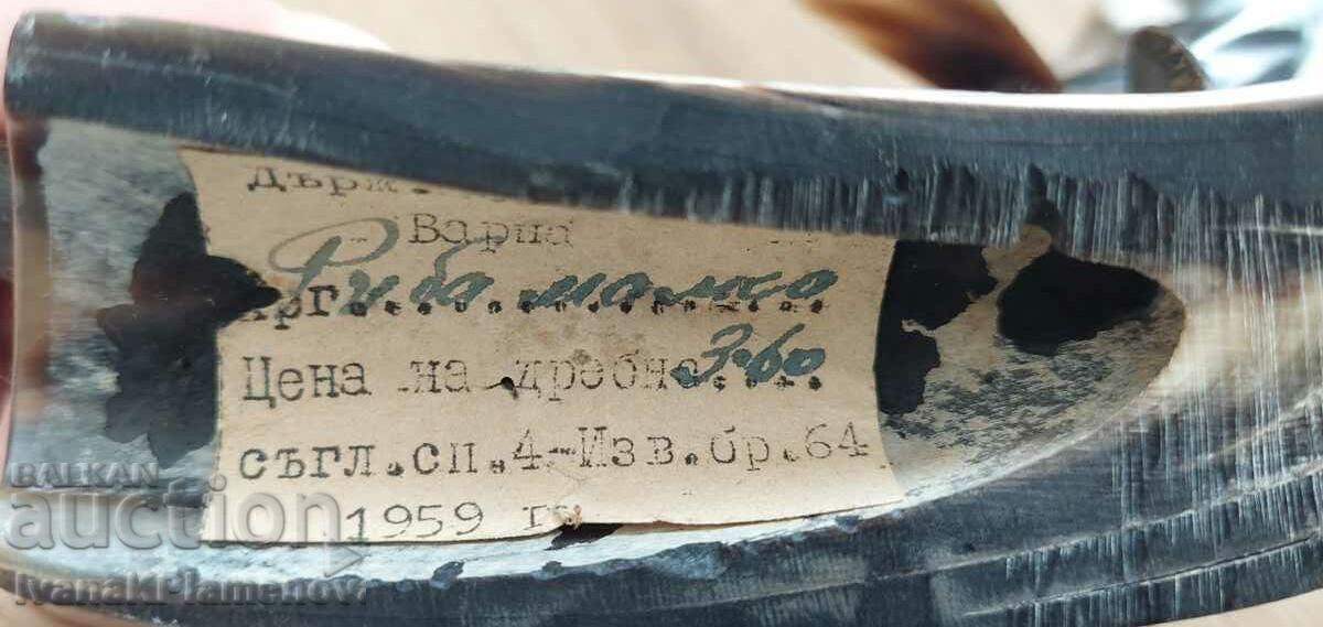 Οστεόψαρο για συλλέκτες - 5