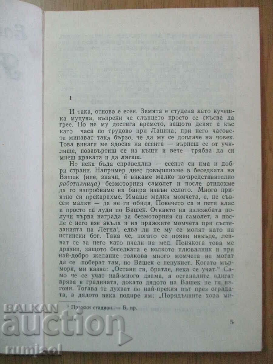 Auction Migratory birds - Elishka Khorelova Auction Migratory birds - Elishka Khorelova