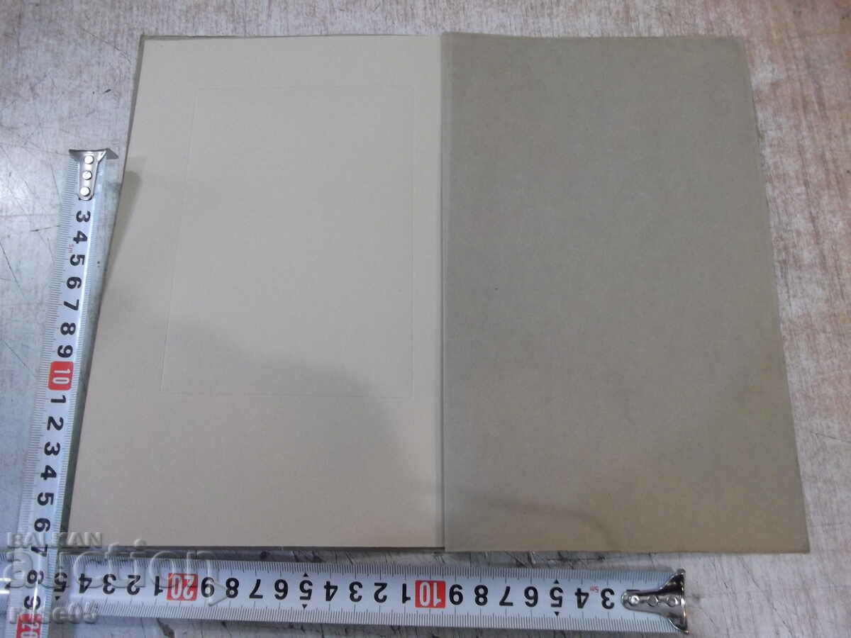 Auction Photo old cardboard portrait of a woman Auction Photo old cardboard portrait of a woman