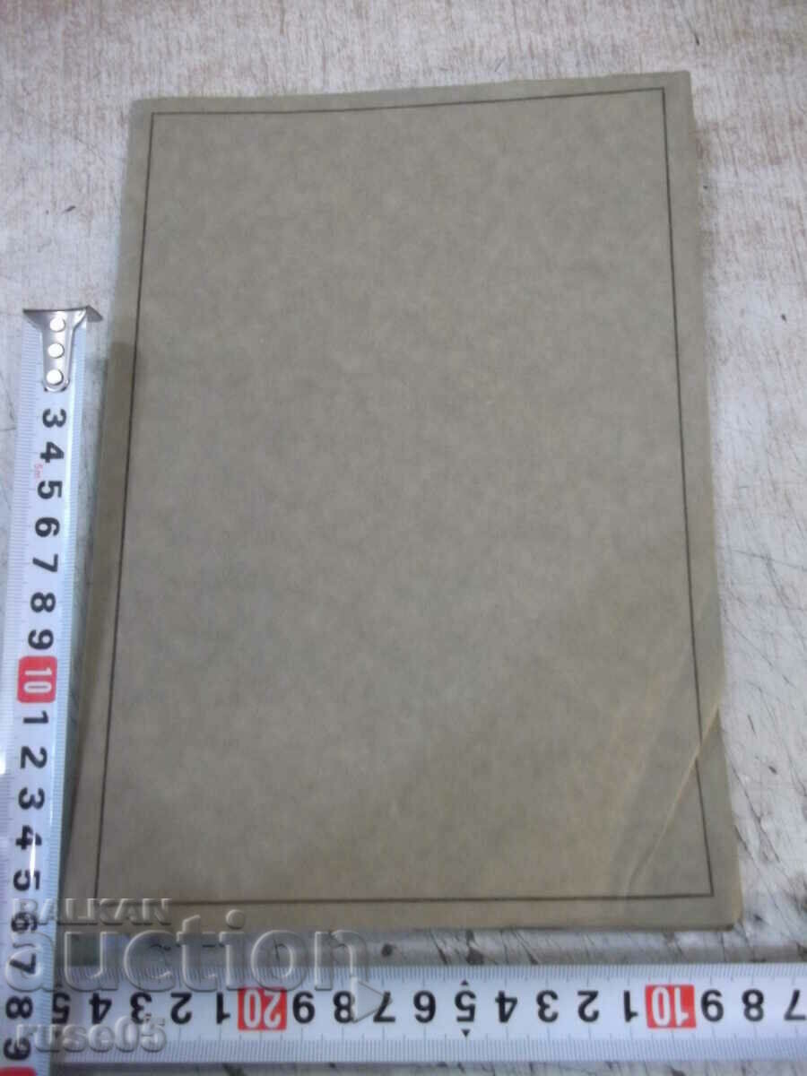 Delivery of Photo old cardboard portrait of a woman - 1