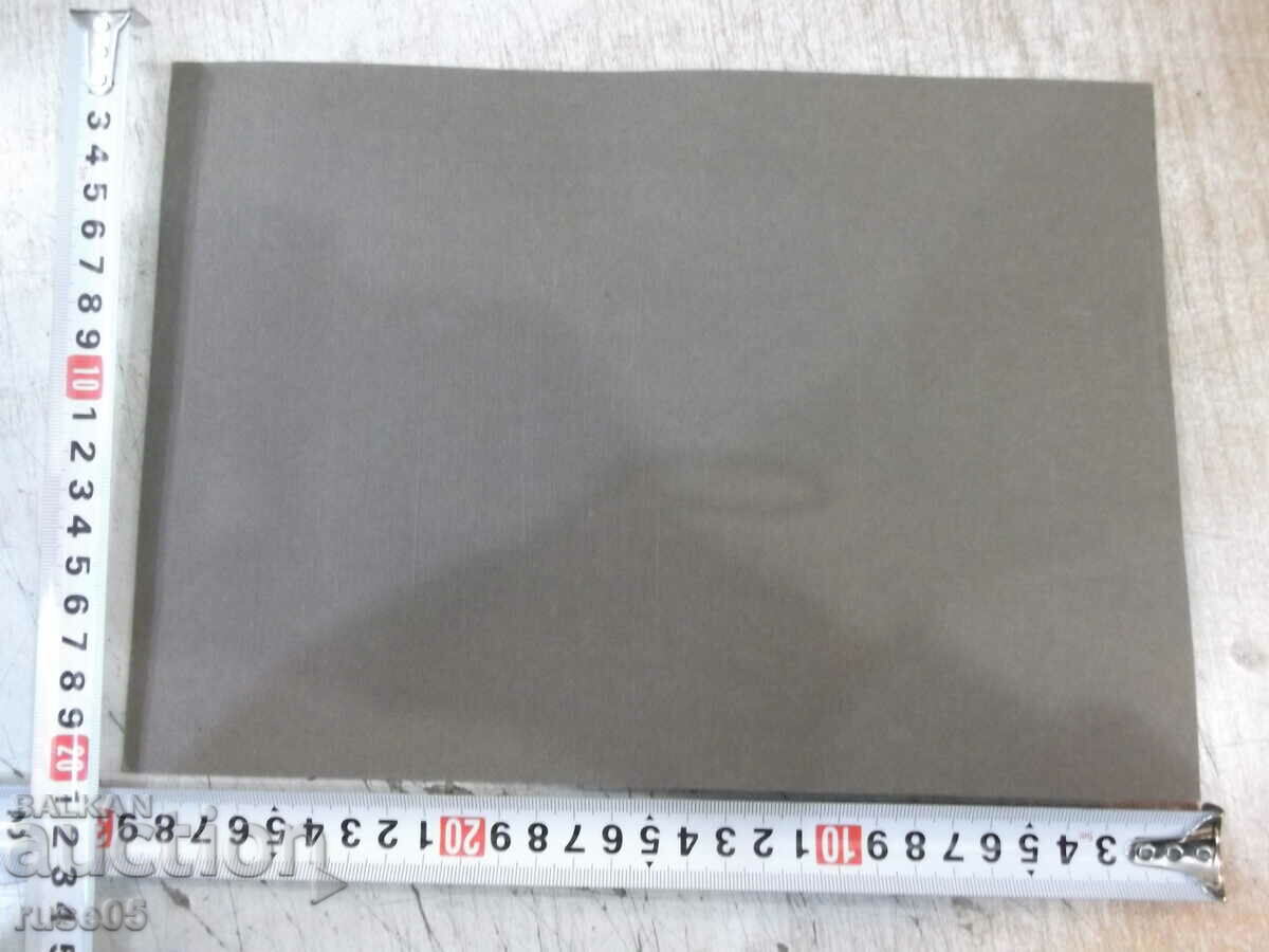 Auction Photo old cardboard portrait of a woman next to a chair Auction Photo old cardboard portrait of a woman next to a chair