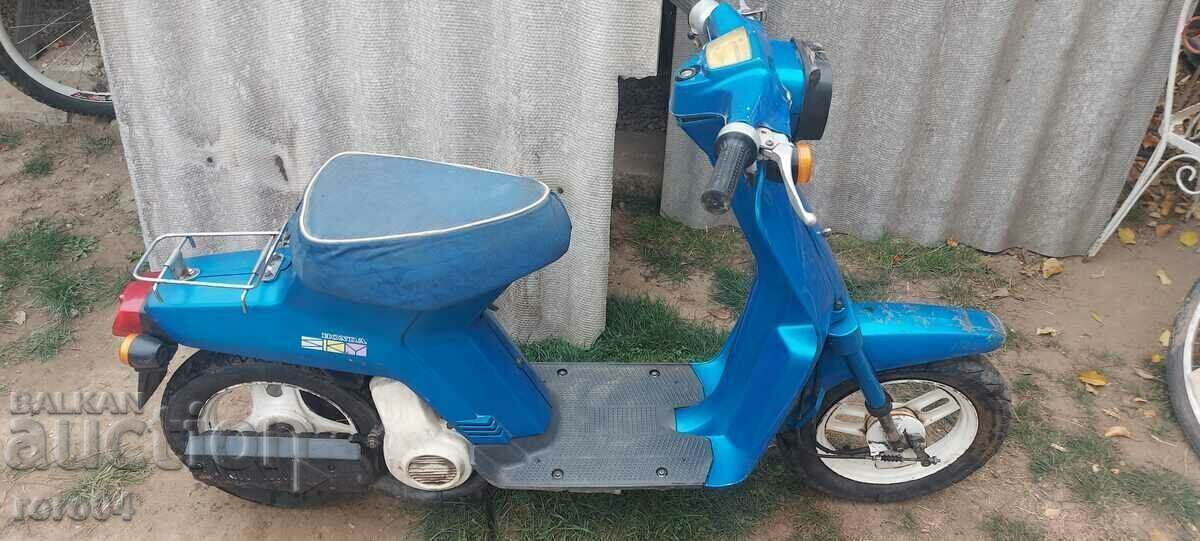 HONDA SKY - 1982 HONDA SKY - 1982