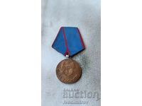 Medal For Merit Voluntary detachments of working people