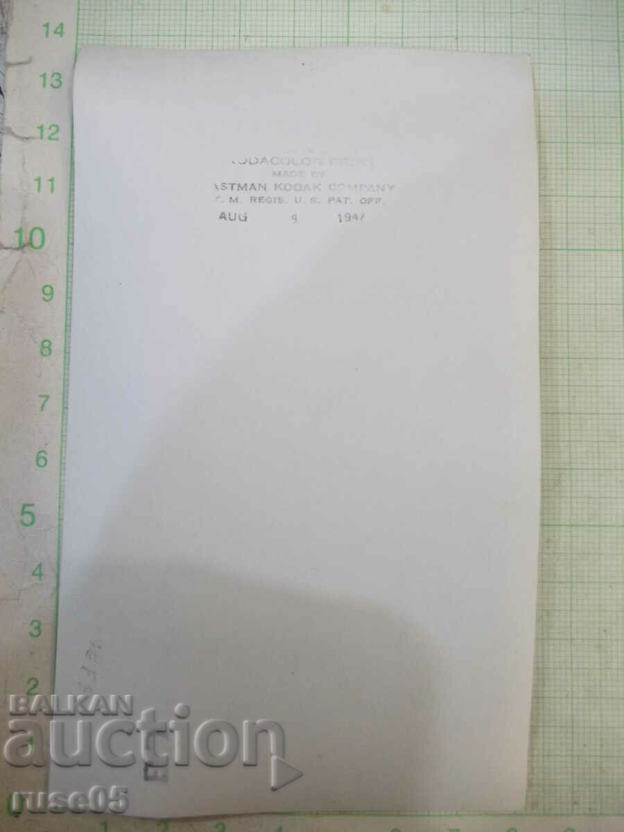 Old photo of a group on an outing in front of the tree with price 2.00 BGN | € 1.02