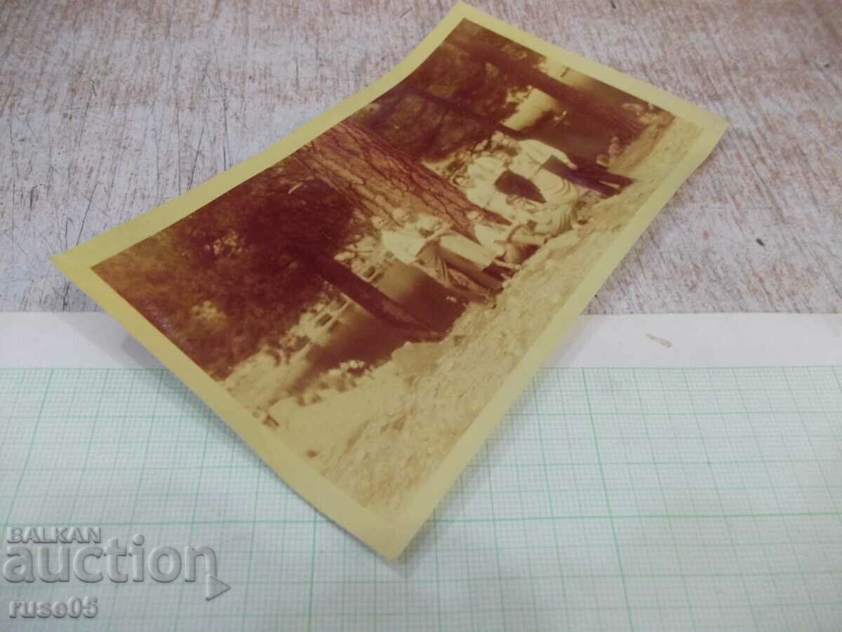 Auction  Old photo of a group on an outing in front of the tree