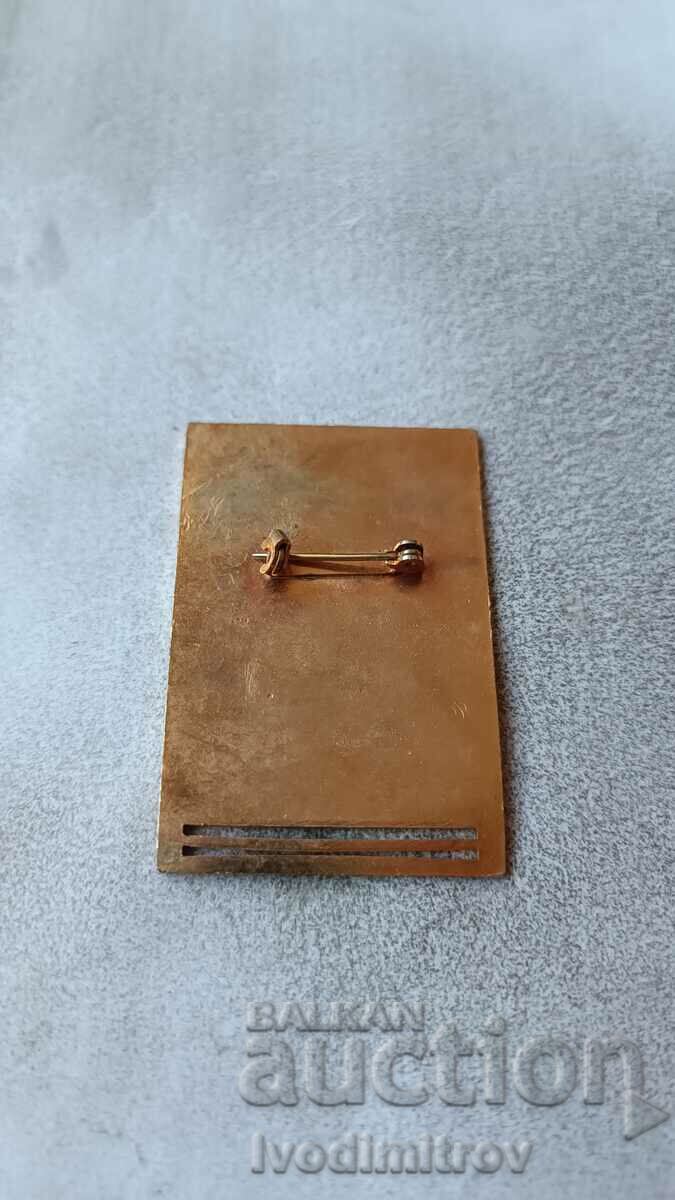 AGFI - GAIF Oklahoma City 1973 Badge with price 3.65 BGN | € 1.87 AGFI - GAIF Oklahoma City 1973 Badge with price 3.65 BGN | € 1.87