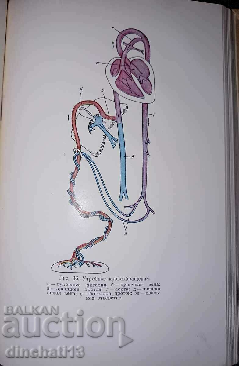 "Propaedeutics of children's diseases". V. I. Molchanov - 7 "Propaedeutics of children's diseases". V. I. Molchanov - 7