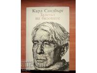 Carl Sandburg Apusul de soare al zimbrilor