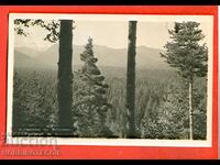 TRAVELED LANDSCAPE CARD from BOROVETS before 1962