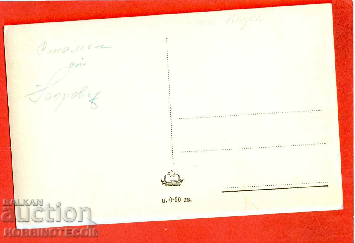 UNUSED PINE CARD PESACO pre 1962 with price 3.99 BGN | € 2.04 UNUSED PINE CARD PESACO pre 1962 with price 3.99 BGN | € 2.04