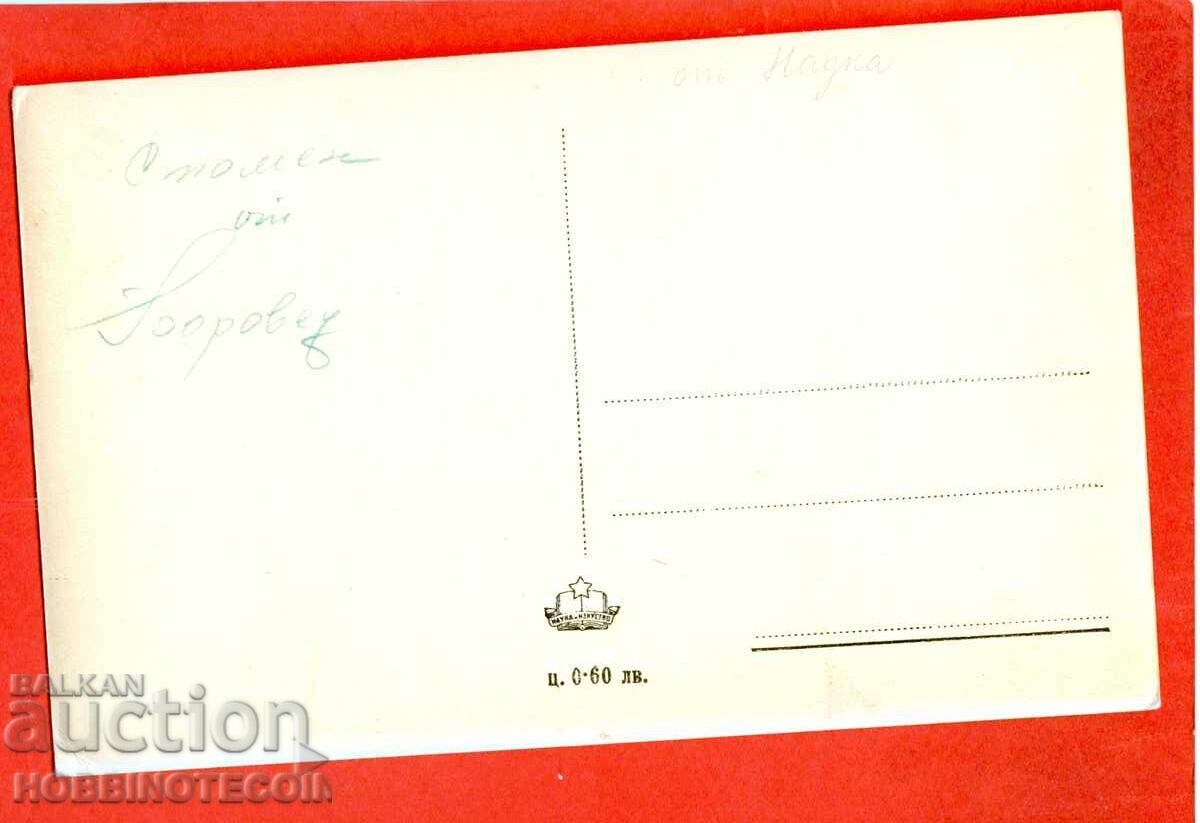 UNUSED PINE CARD PESACO pre 1962 with price € 2.09 | 4.09 BGN