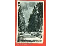 TRAVELED CARD VIEW by BOROVETS before 1958