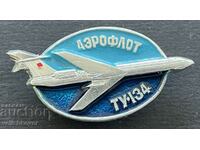 39083 USSR insignia Aeroflot and aircraft model TU-134