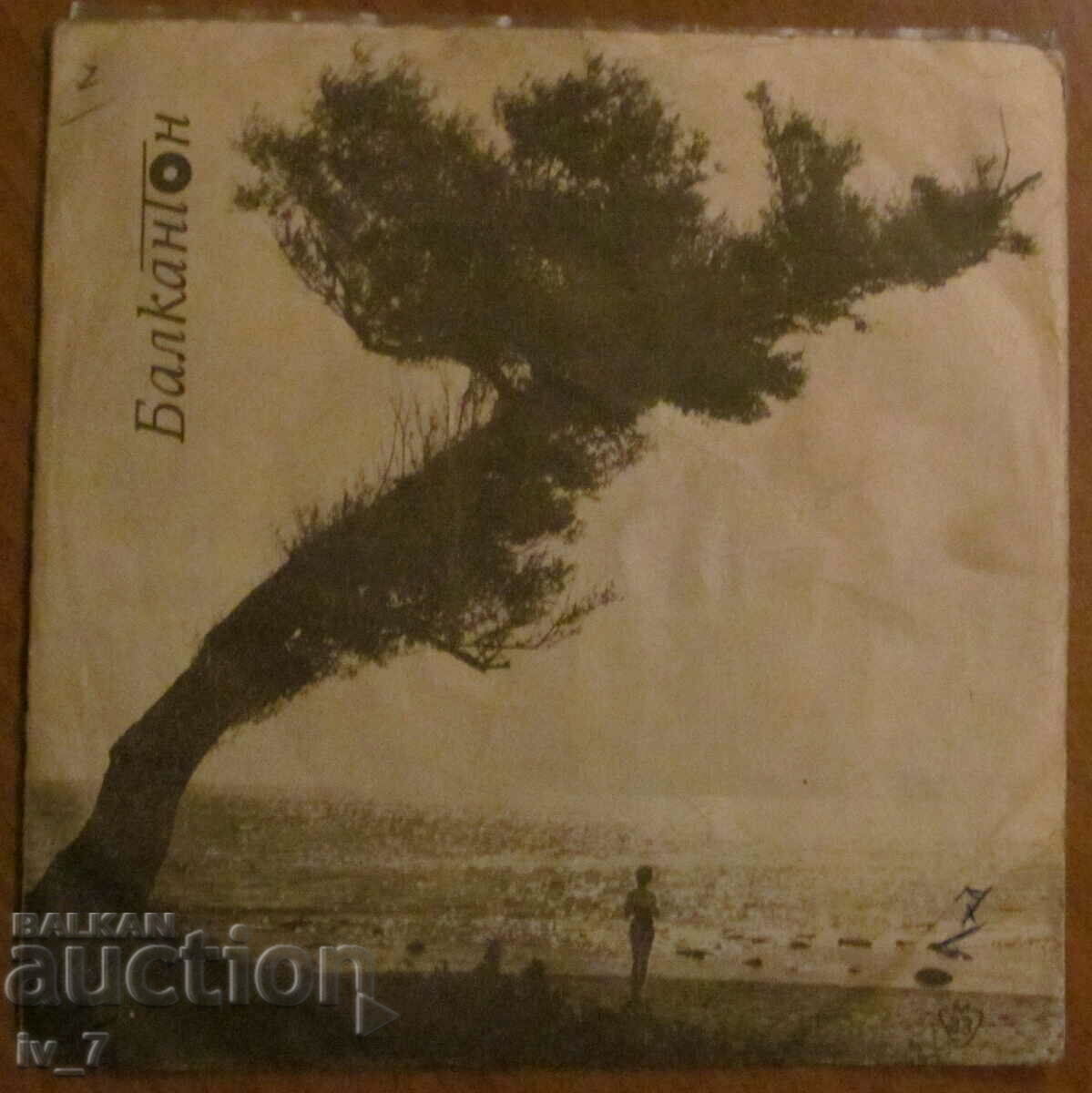 RECORD - MUZICA DISTRACTALA, format mic RECORD - MUZICA DISTRACTALA, format mic