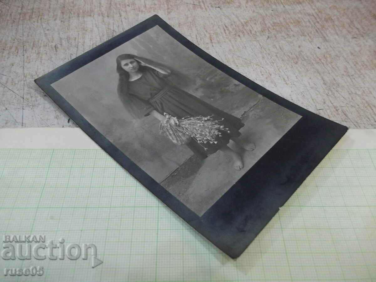 Auction Card - 183 Auction Card - 183