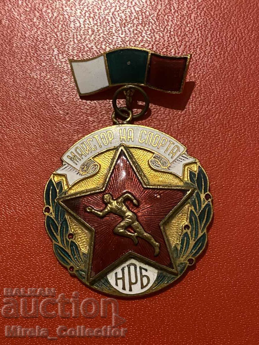 Sports badge badge merited master of sports NRB