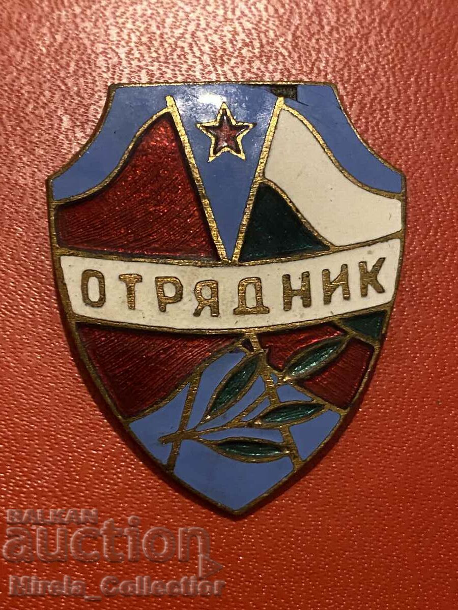 Нагръден знак значка отрядник МВР