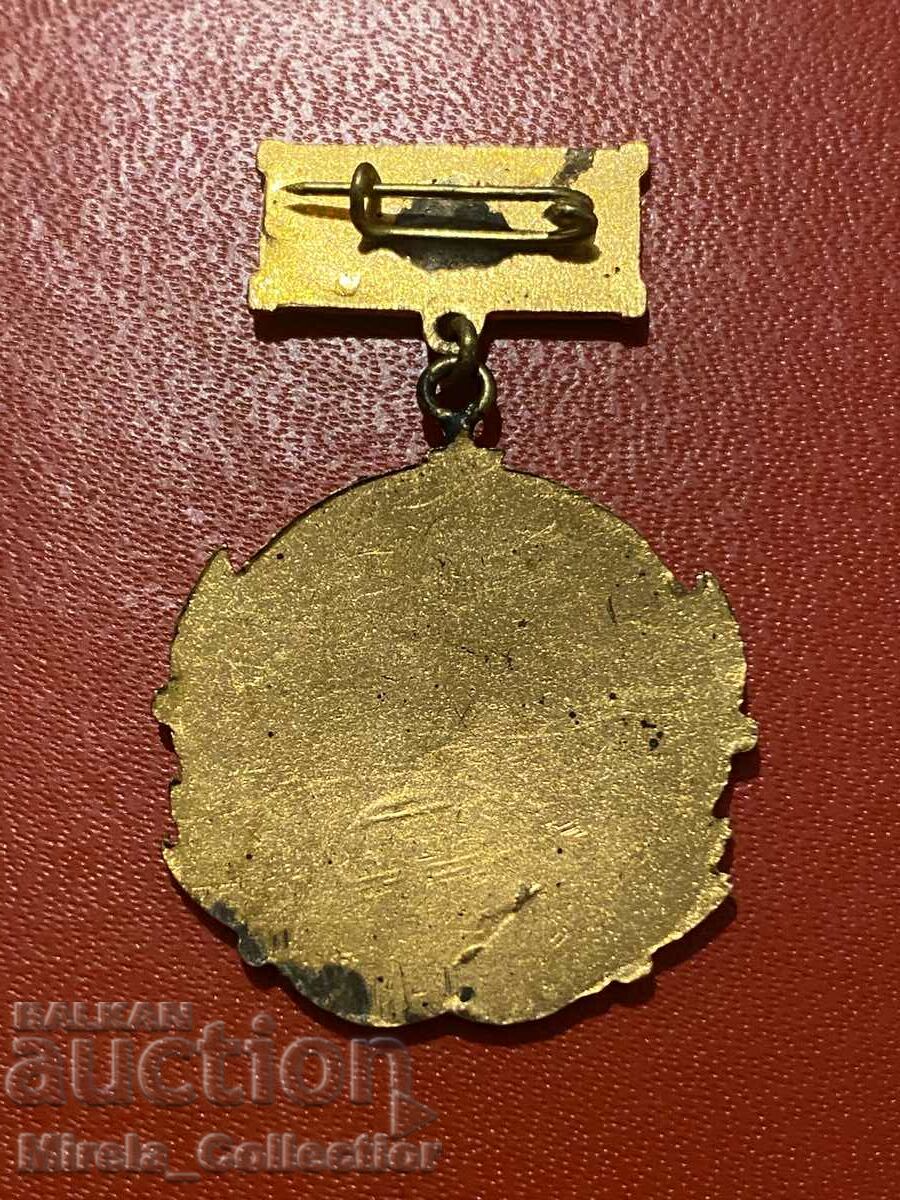 Insigna de 20 de ani ca angajat CSU cu preț 15.00 BGN | € 7.67 Insigna de 20 de ani ca angajat CSU cu preț 15.00 BGN | € 7.67