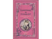 Tales of the Pink Fairy + book GIFT