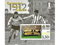 Clean block 110 years Botev Football Club Plovdiv 2022 Bulgaria