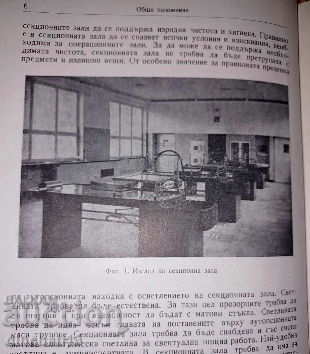 Auction A Practical Guide to Pathological Anatomy Auction A Practical Guide to Pathological Anatomy