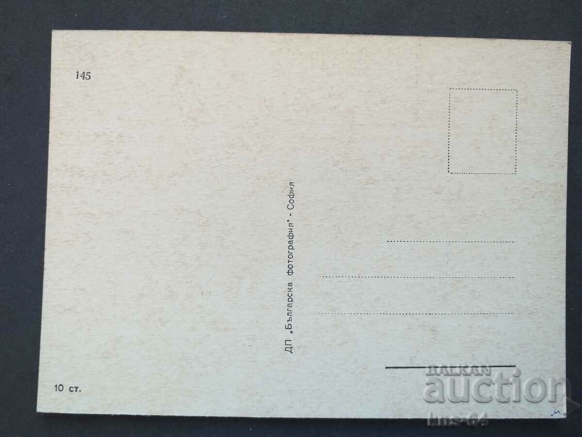 Bulgaria card with price 0.95 BGN | € 0.49 Bulgaria card with price 0.95 BGN | € 0.49