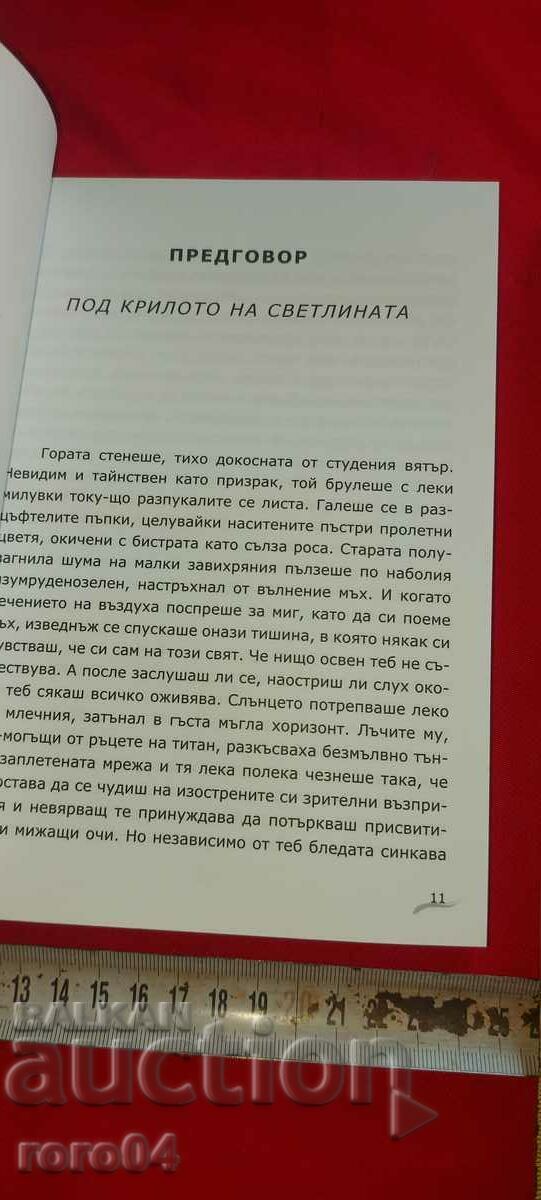 Auction DOOMED - VLADI VLADIMIROV Auction DOOMED - VLADI VLADIMIROV