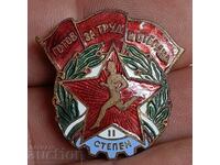 . READY FOR LABOR AND DEFENSE BADGE BADGE MEDAL