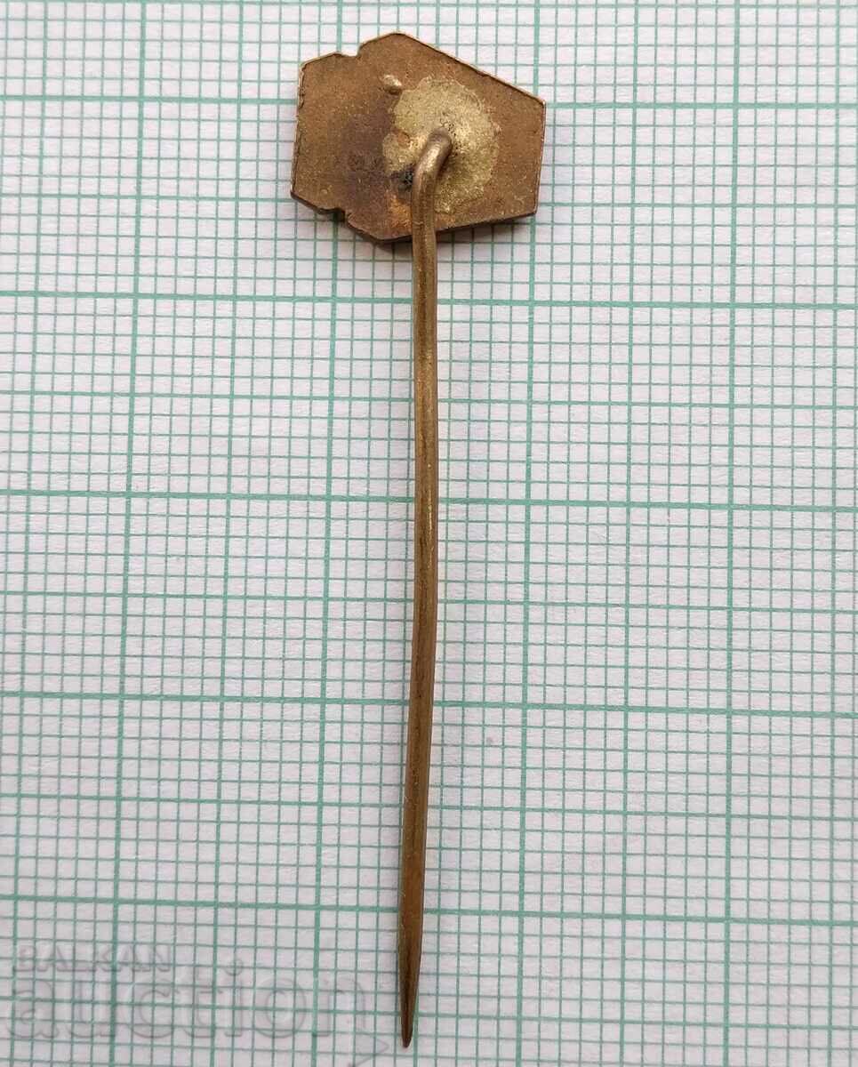 Auction  16987 Badge