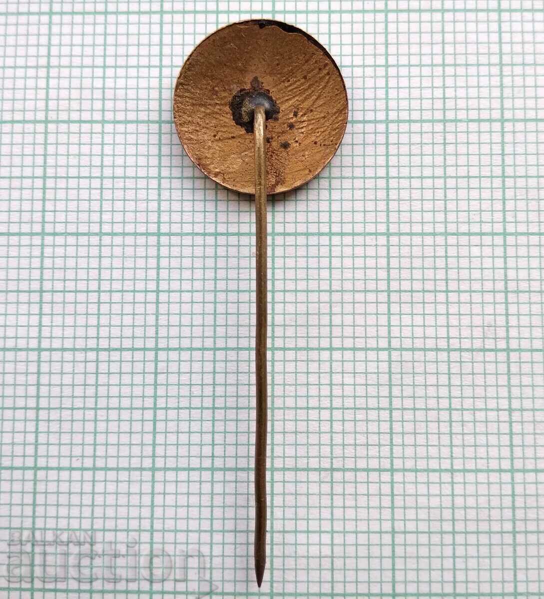 Auction  16994 Badge