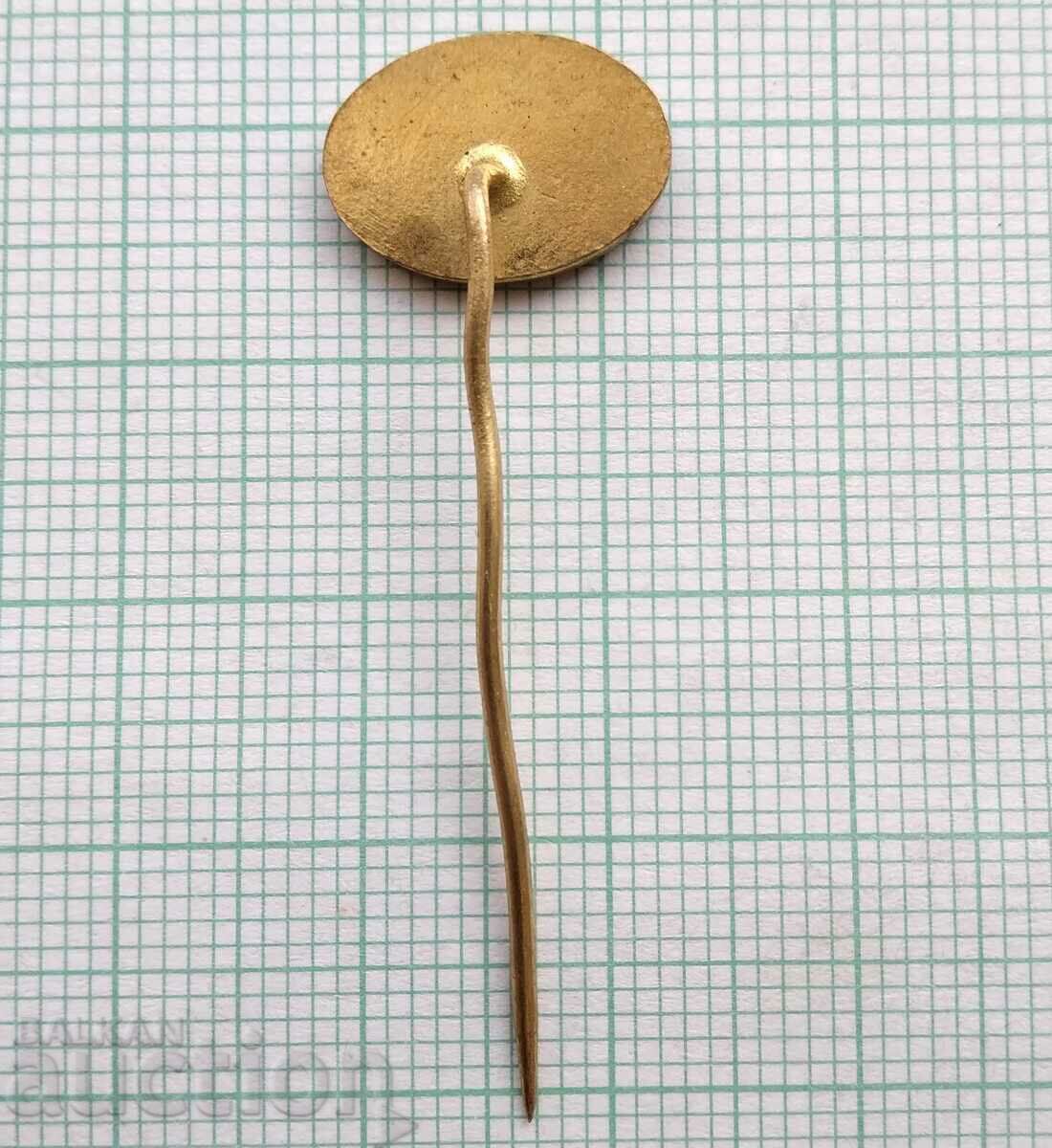 Auction  17001 Badge