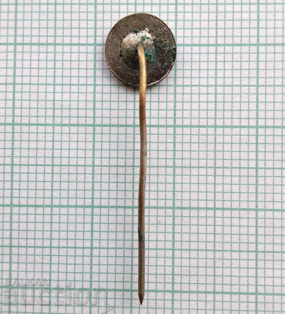 Auction 17005 Badge - enamel Auction 17005 Badge - enamel