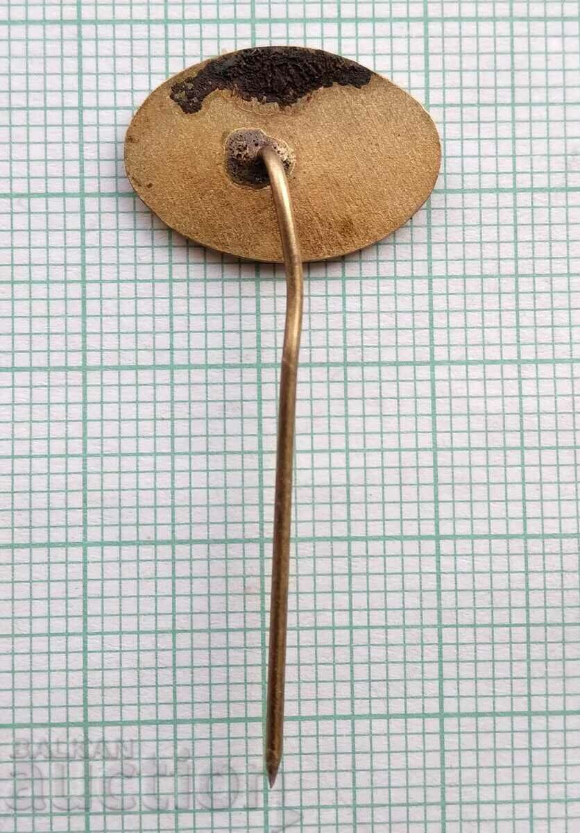 Auction 17008 Badge Auction 17008 Badge