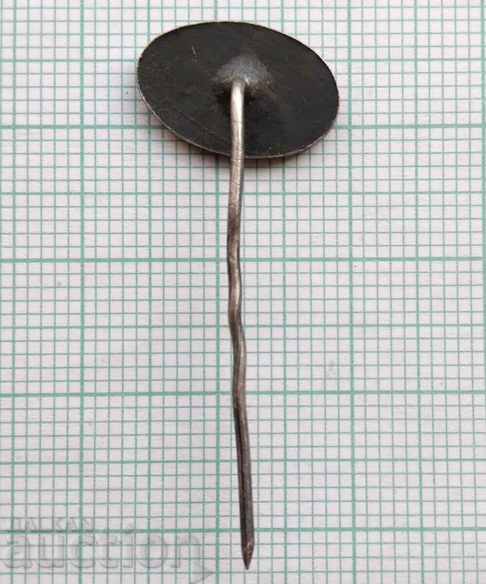 Auction 17011 Badge Auction 17011 Badge