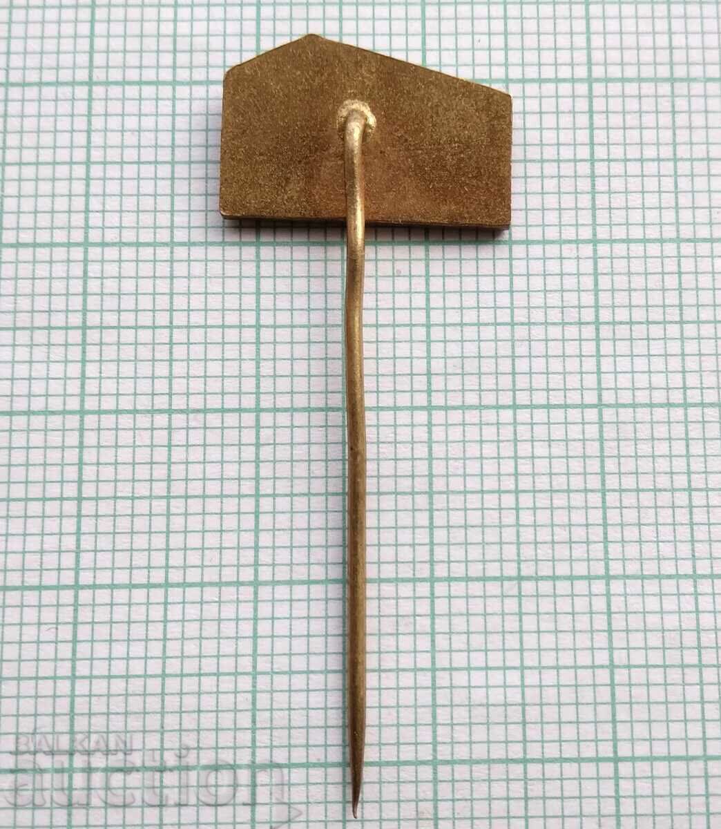 Auction  17014 Badge